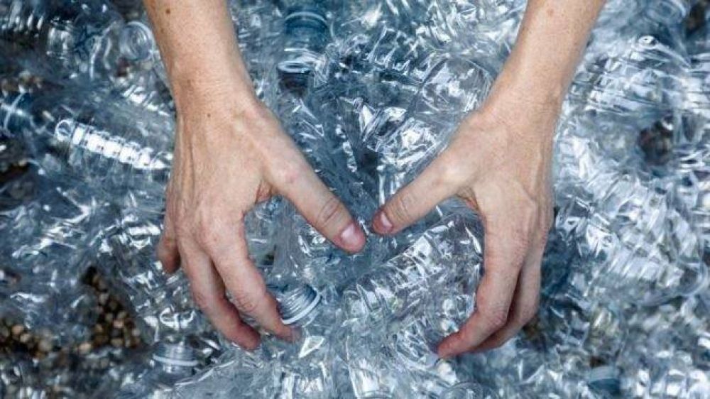 Ecologistas dicen que plstico reciclado es slo 17% de botellas nuevas