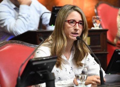 Delmonte: “Sería bueno que Kicillof se haga cargo de los problemas de la provincia”