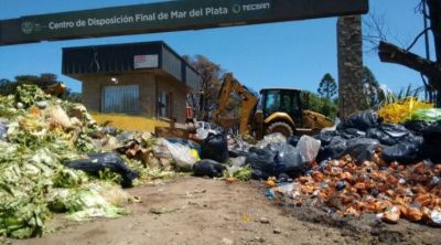CEAMSE demand judicialmente al Municipio y pide un resarcimiento multimillonario