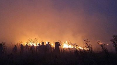 Cáritas presente ante los incendios en Corrientes y Misiones