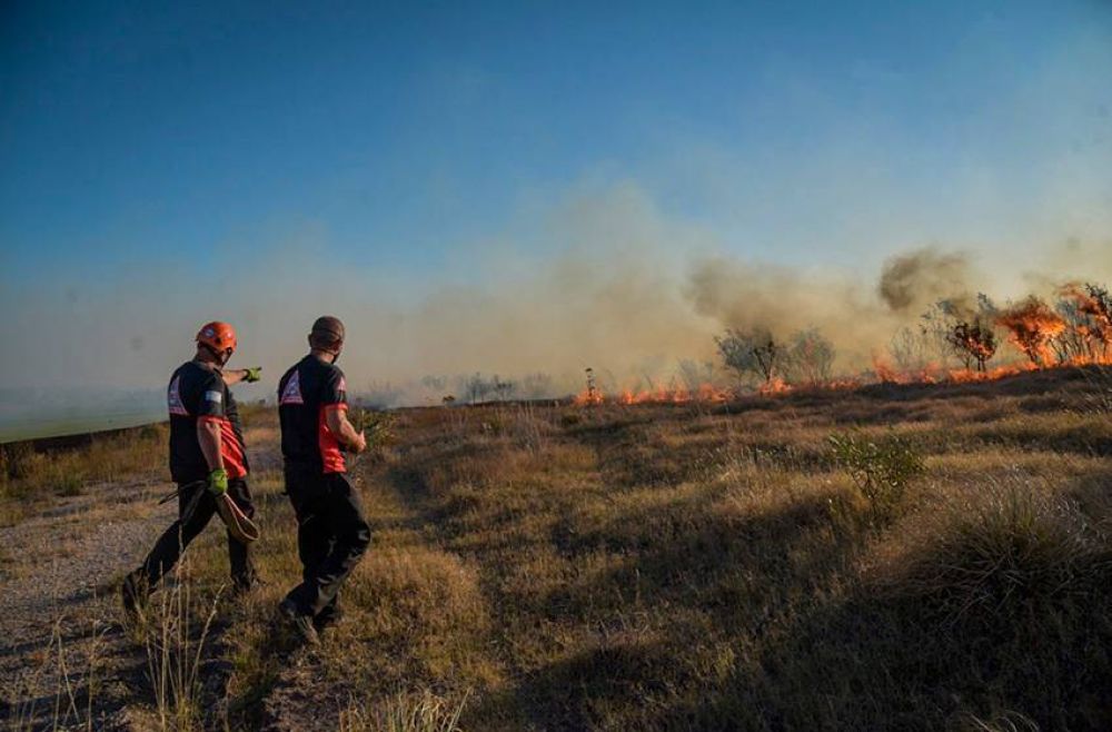 Incendios Forestales en Mar del Plata: 