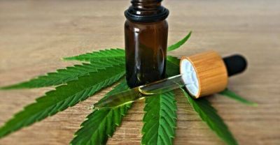 Convocan a capacitación sobre cannabis medicinal en el Concejo Deliberante