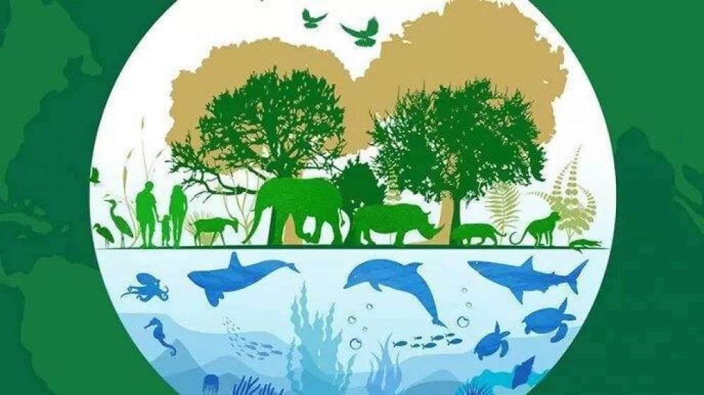 Desde CEAMSE piden �generar conciencia sobre lo esenciales que son los servicios ecosist�micos para la humanidad�