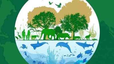 Desde CEAMSE piden �generar conciencia sobre lo esenciales que son los servicios ecosist�micos para la humanidad�