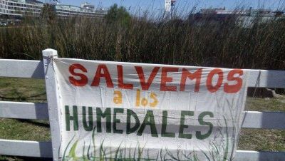 Denuncian que Zamora contamina los humedales en Tigre con un basural clandestino: Alerta vecinal