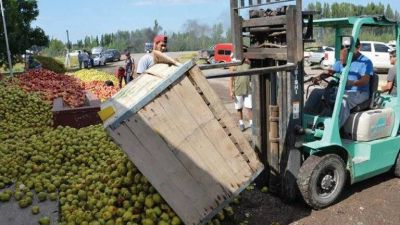 Exportaciones argentinas paralizadas por Rusia: el impacto de la invasión en los mercados de peras, manzanas, cítricos, pescados y otros productos