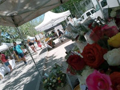 Andr�s Watson recorri� una nueva jornada de promoci�n hortiflor�cola