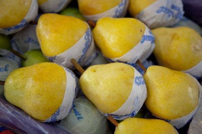 La CAFI afirma que este año el mercado ruso no va existir para la fruta de Río Negro y Neuquén