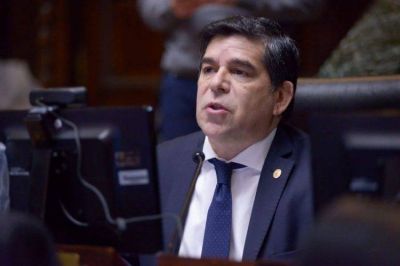 Romero: �El Gobierno no tiene un plan y propone una serie de ajustes�