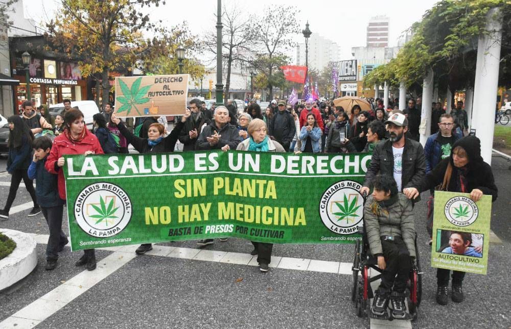 Se posterg la reunin del Consejo Consultivo de cannabis medicinal
