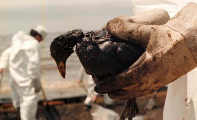 A 23 años años del mayor derrame petrolero que hubo en el país, en la costa de Magdalena, sigue pendiente una resolución judicial