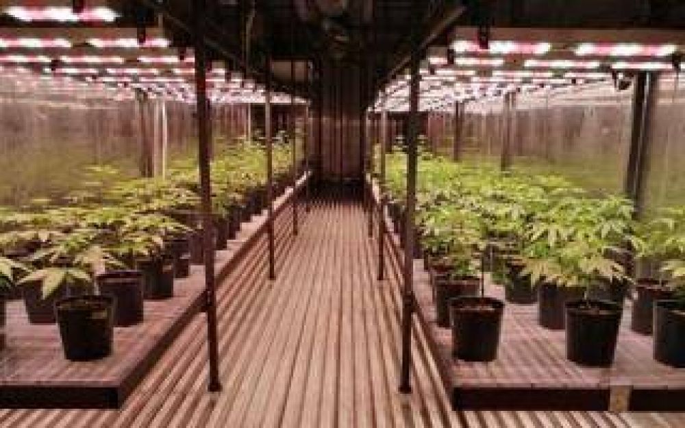 San Vicente: Inauguraron la primera biofbrica nacional de cannabis medicinal