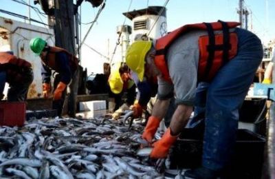 Argentina y Brasil acordaron una medida para impulsar la exportación pesquera