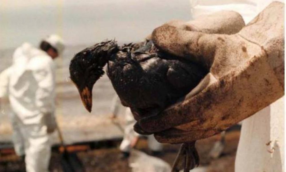 La causa del mayor derrame petrolero que hubo en el pas, en la costa de Magdalena, hoy no tiene juez