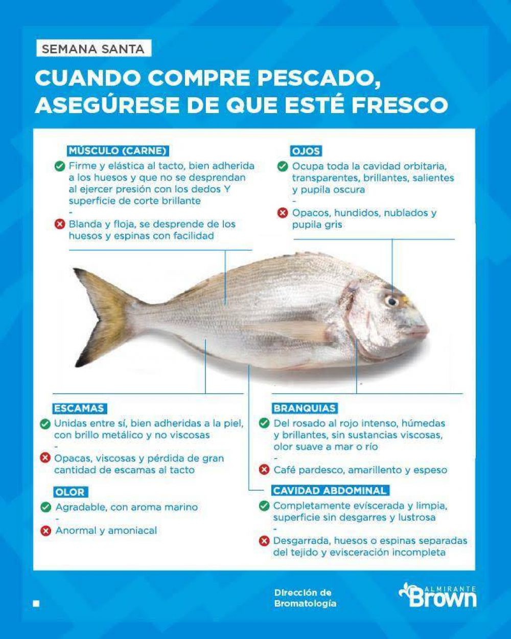 El Municipio lanz controles sanitarios y recomendaciones para el consumo del pescado