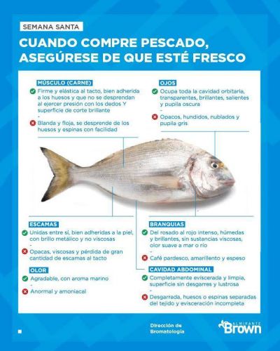 El Municipio lanzó controles sanitarios y recomendaciones para el consumo del pescado