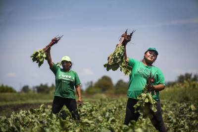 Para bajar los precios, la Unión de Trabajadores de la Tierra inaugurará una nave para pequeños productores en el Mercado Central