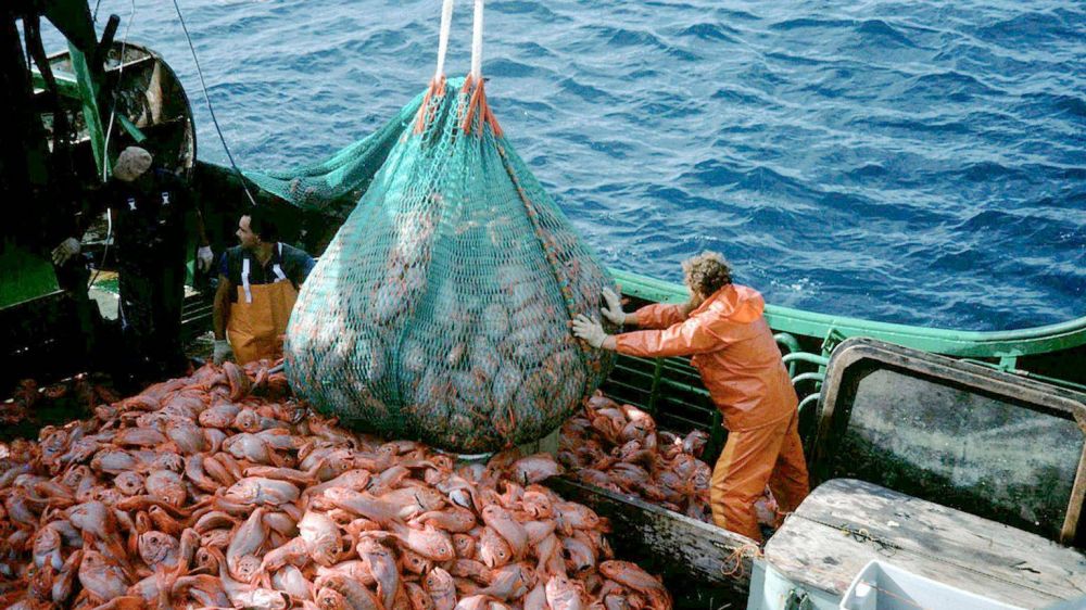 Pescadores y marítimos de la pesca fresquera formalizaron paritaria del 45% en 2 tramos