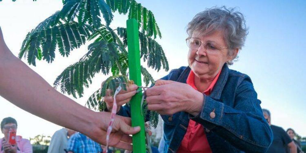 Posadas Sustentable: turistas y vecinos plantaron una decena de árboles nativos en la Costanera