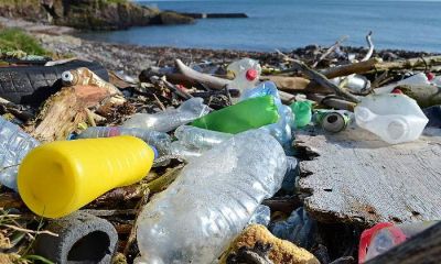 Reciclaje enzimático: una posible respuesta al problema de los residuos plásticos