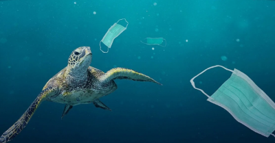 La basura en los océanos provoca más daño del que se pensaba