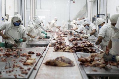 Los empresarios llevan una d�cada sin generar empleo registrado neto