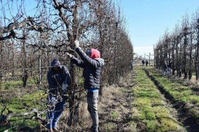Salarios de pobreza para las y los trabajadores rurales en R�o Negro