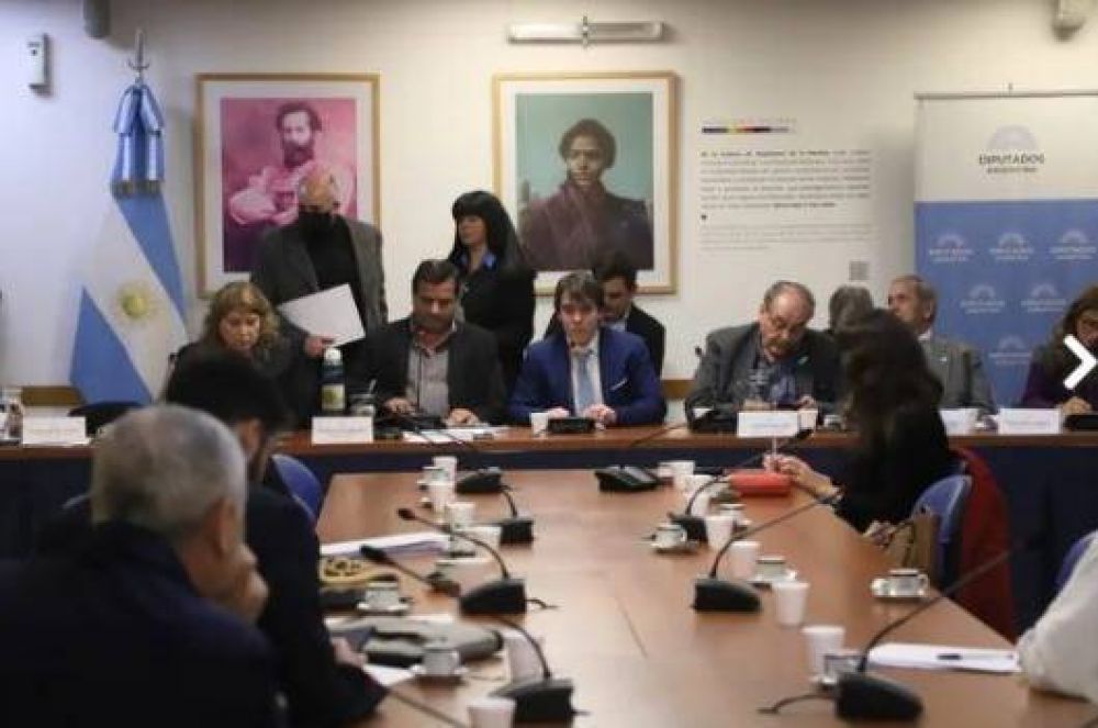Compre Argentino: el oficialismo en Diputados excluir al PAMI del proyecto