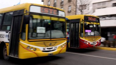 La Provincia adhirió al transporte público gratuito para censistas