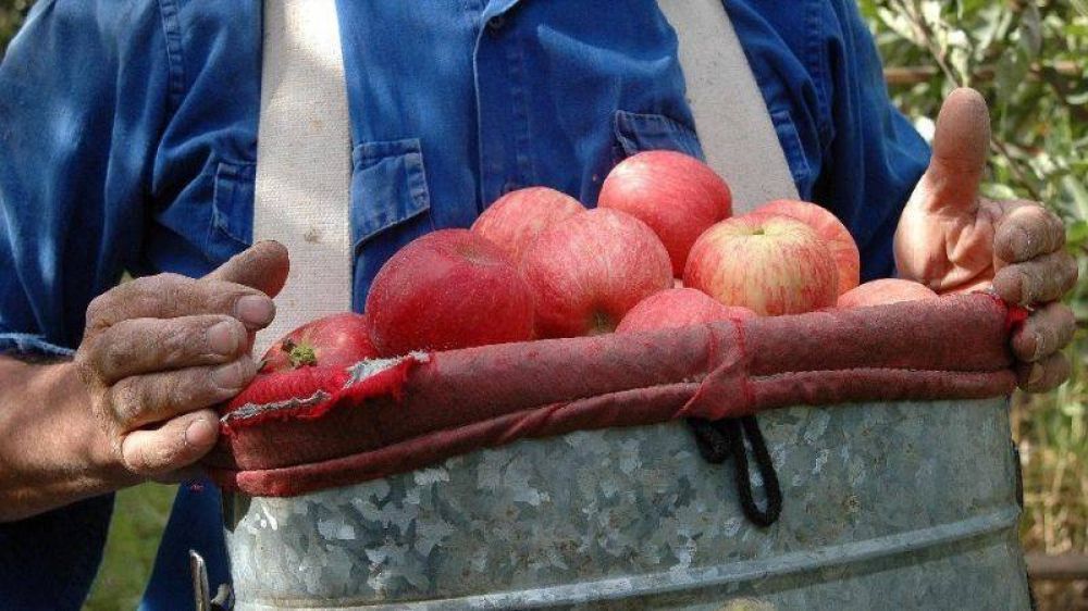Fruticultores: un sector casi abandonado, ao tras ao
