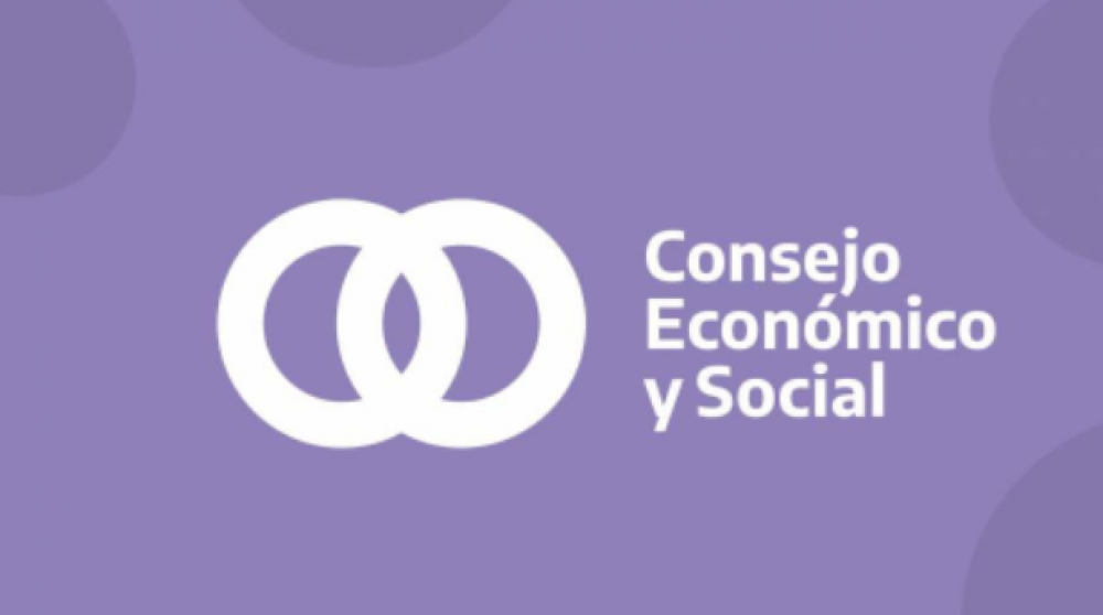 El Consejo Econmico y Social debate en Bariloche una Estrategia Nacional de Hidrgeno