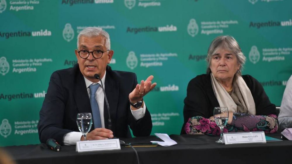 Las econom�as regionales exportaron por casi USD 9.000 millones en los �ltimos 12 meses