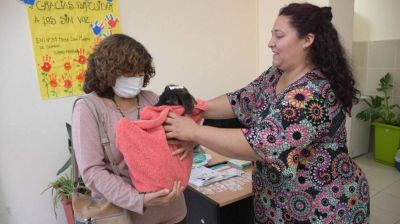 Economa circular, esterilizacin de animales y forestacin, los pilares de Ambiente