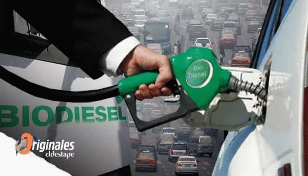 Biodiesel: La llave para solucionar la falta de Gasoil?