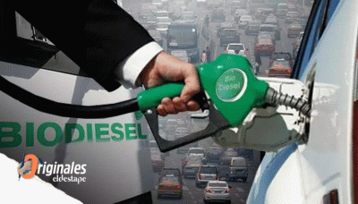 Biodiesel: ¿La llave para solucionar la falta de Gasoil?