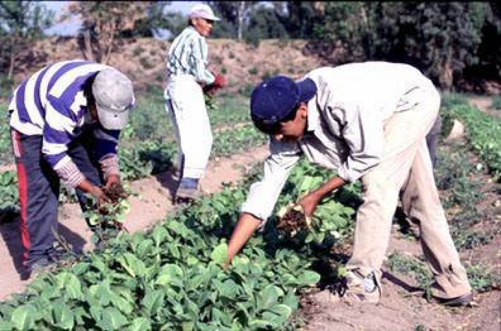 Avanza la negociacin por el aumento salarial a trabajadores rurales