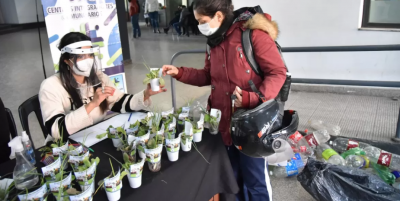 Eco Canje: cambiá plástico por plantines