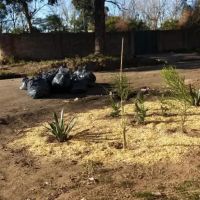 Avanza la erradicación de basurales en la ciudad de Santa Fe