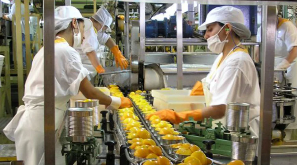 Los productores de alimentos advirtieron sobre las restricciones para importar: El abastecimiento de insumos es crtico