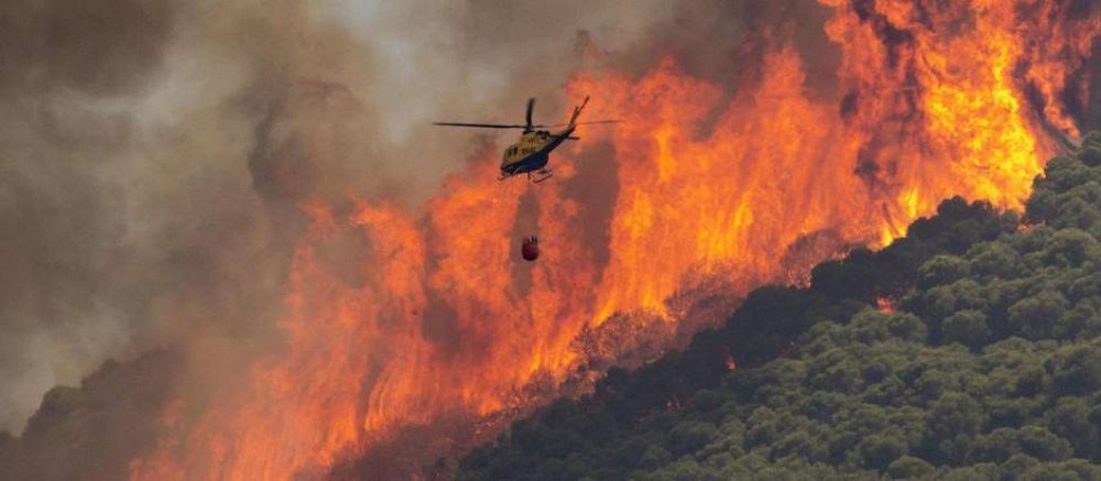'Laudato S', los incendios en Espaa y la alternativa a la dejadez poltica de los bosques