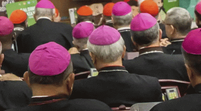 El Vaticano advierte que Camino Sinodal en Alemania podr�a amenazar la unidad de la Iglesia