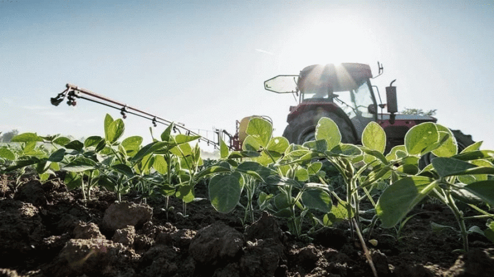 Crisis de alimentos y energ�a: concentraci�n de tierras e intervenci�n inteligente