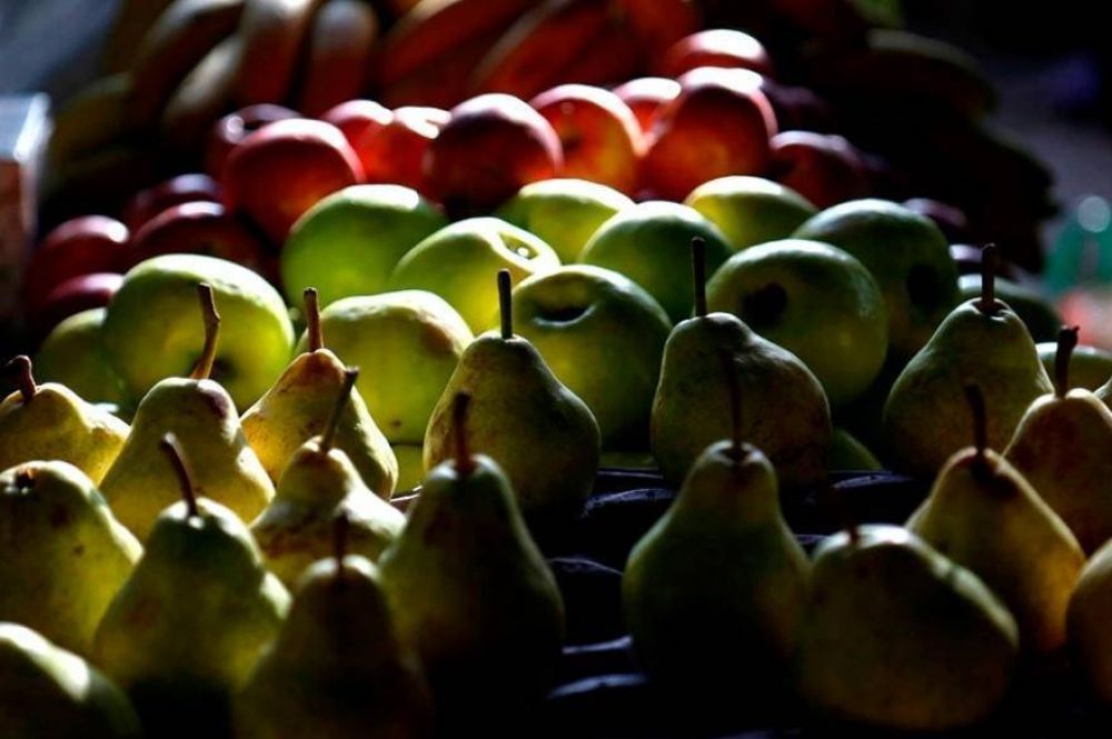 Bajan exportaciones de pera y manzana de Ro Negro y Neuqun por cada de demanda rusa