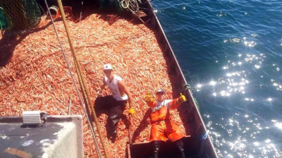 En el Stia proponen trabajar en otra ley que defina la disposición final de los residuos pesqueros