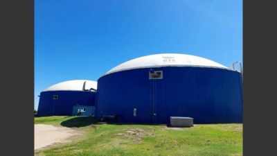 Biogás: crece la valorización de los residuos agropecuarios y agroindustriales en Argentina