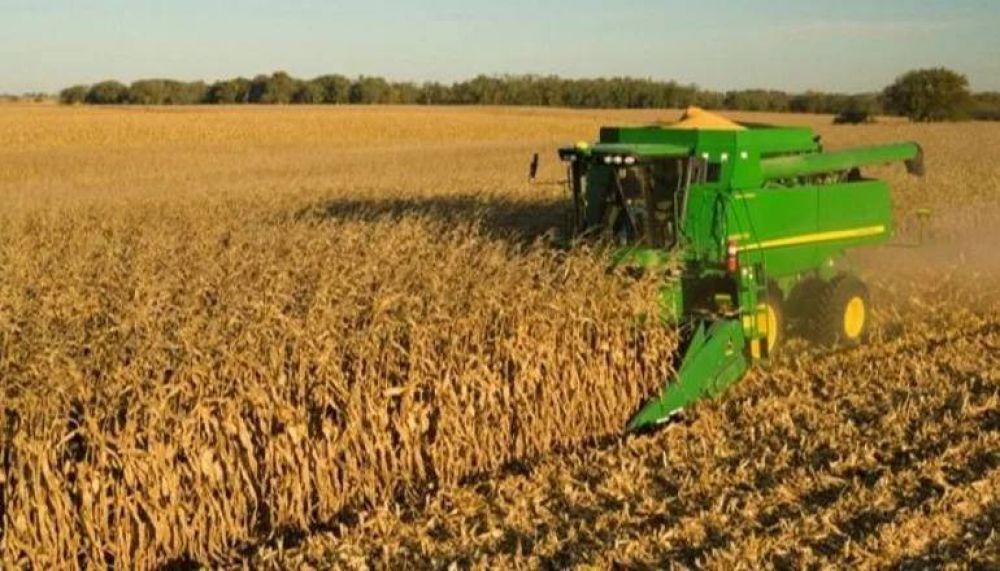 Proyectan que las exportaciones del agro ser�n r�cord: U$S 42.300 millones