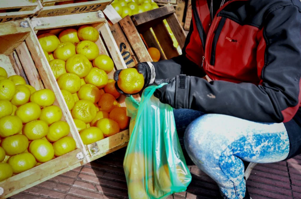 Estudio revela que el precio de los alimentos en Mar del Plata aumentó más del 80% en un año