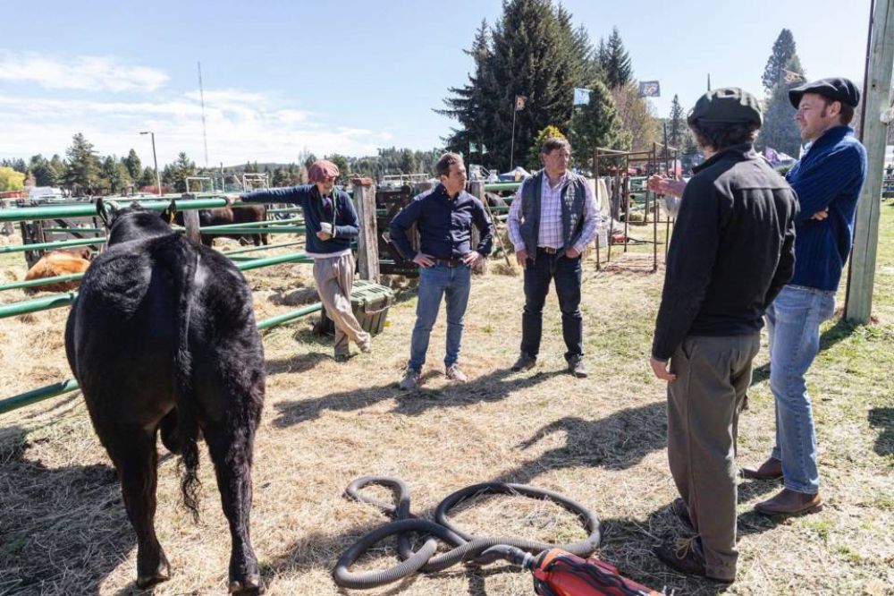 Luque recorri la Exposicin Rural de Esquel