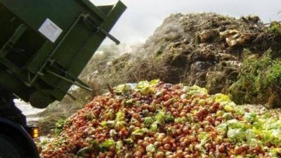 Casi el 40% de los alimentos que se producen en el mundo se tira a la basura