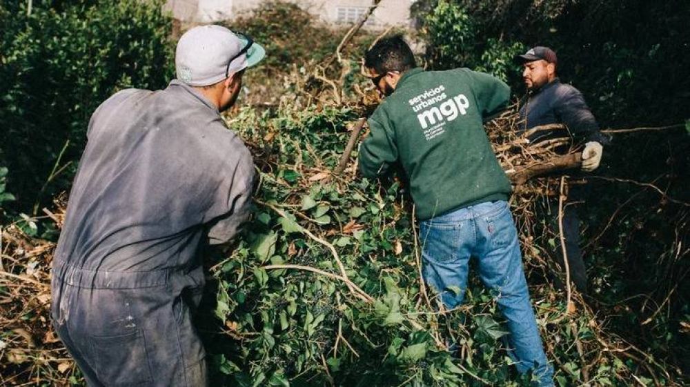 El Municipio extrajo 84 toneladas de residuos de terrenos privados abandonados